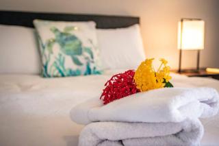 CityLife Apartments in Willemstad - groundfloor 2 bedroom apartment - A - Willemstad - 1