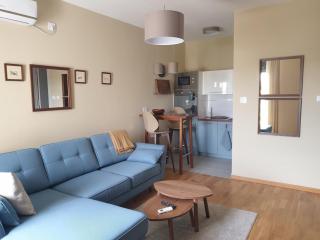 Blues Apartment Private parking - Novi Sad - 9