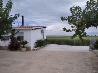 Caseta del Chato - Deltebre - 3