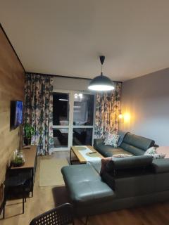 LUX Apartament ODKRYJ - BIESZCZADY - 1