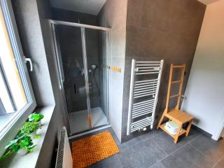 Apartmán Pod Mamutem - Dolní Morava - 1