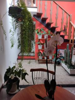 Loft Colibri Mucugê - Mucugê - 9