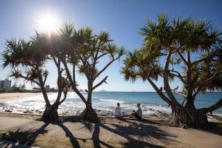Alex Beach Cabins and Tourist Park - Alexandra Headland - 6
