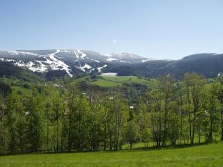 Woodhouse - Rokytnice nad Jizerou - 4