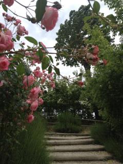 Torre del Barbagianni - Castello di Gropparello - 1