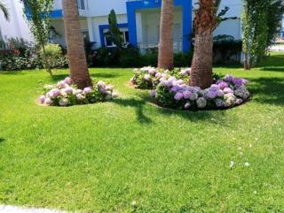 Complexe kariat cabo - Cabo Negro - 6