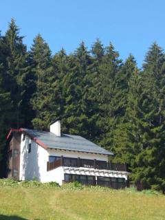 North Chalets - Giresun - 9
