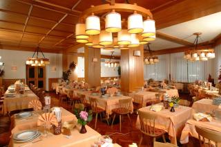 Hotel Pinzolo-Dolomiti - Pinzolo - 1