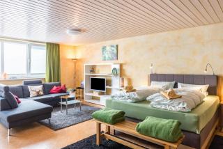 Ferienwohnung Grünspecht - 4