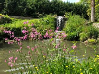 Domaine du Plessis - Le Plessis-Luzarches - 3
