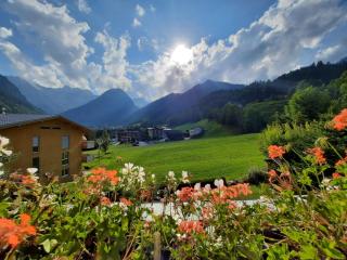 Haus Flua - 2