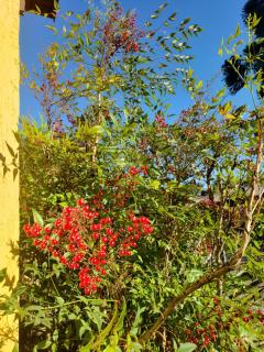 Apartamento Flor de Canela - 4
