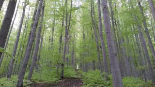 Rodinný penzion U Hafana a U Hospůdky - 7