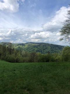 Rodinný penzion U Hafana a U Hospůdky - 6