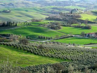 Appartamento il castellare - Rapolano Terme - 9