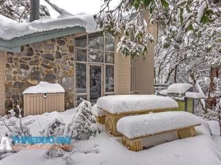 Baroness - Thredbo - 0