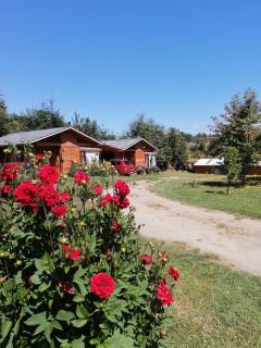 Turismo Jaos Cabañas Tinas y Quincho - 5