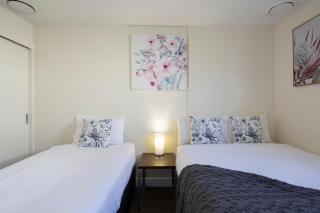 The Whistler Holiday Apartments - Queenstown - 2