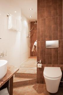 Manufaktur Boutique Hotel - Stadt Wehlen - 3