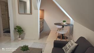 U Zlaté hvězdy apartmán Jungmann - Leitmeritz - 2