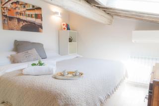 Apartments Florence - Casa Amici - Firenze - 4