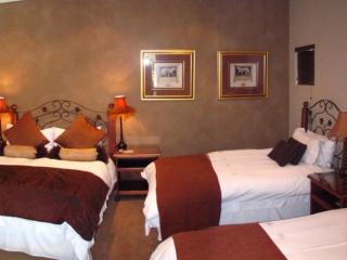 Lazy Lizard Guesthouse - 6