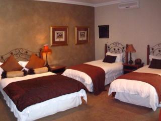 Lazy Lizard Guesthouse - Willows - 5
