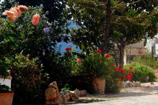 Charming house ideal for couples and young familie - Tàrbena - 2