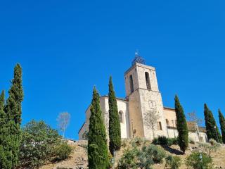 LA BASTIDE DU GINESTE - Olives - Flayosc - 9