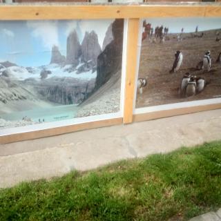 Departamento Kran - Punta Arenas - 6