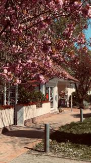 Salzoasen Apartment - 1