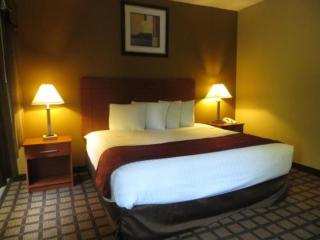 Baymont by Wyndham New Buffalo - New Buffalo - 4