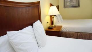 Baymont by Wyndham Arlington At Six Flags Dr - Arlington - 2