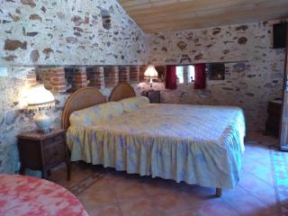 Le POULAILLER - Mareuil-sur-Lay - 9
