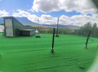 Apartamento Balcón de Jaca - Jaca - 4