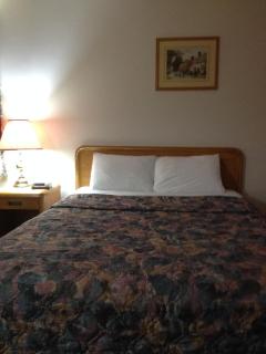 Oasis Motel by The Falls - 6