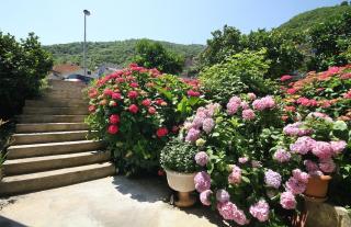 Apartments Raičević - Budva - 9