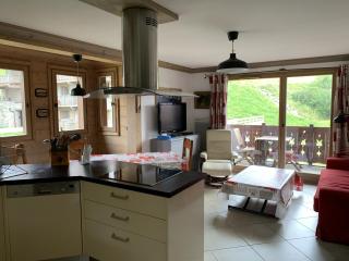 les 7 laux immobilier chalet D - Prapoutel - 3