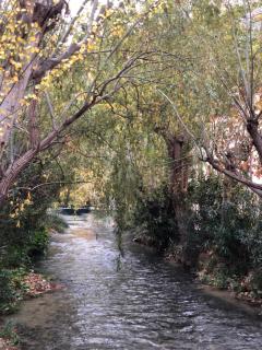 Hotel Balneario de La Virgen - 8