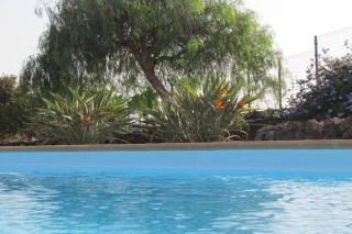 Heated & Shared Pool VILLA MATRIANA 36B, North Shore Villas - La Oliva - 4