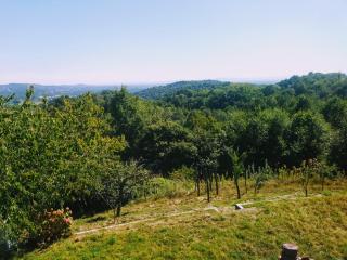 Il Pettirosso - Castellamonte - 1