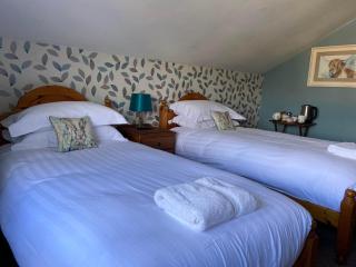 Three Horseshoes Inn - Hereford - 9
