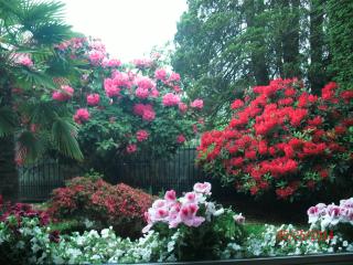 The Stone Hedge Bed and Breakfast - Richmond - 3
