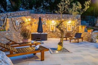 Holiday House - Old Olive - Porozina - 6