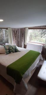 ECO CABAÑA - Puerto Varas - 0