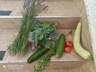 Apartment CEPIC - Herceg-Novi - 3