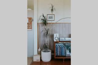 The Shack at Skenes Creek - Apollo Bay - 7