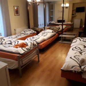 Agroturystyka "JAGAP" OAZA SPOKOJU - Dzierżoniów - 4