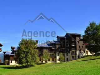 Studio rénové à Montchavin La Plagne, proche pistes et commerces, balcon, casier à skis, parking gratuit - FR-1-329-28 - Bellentre - 2