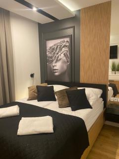 Family & Business Elegant Apartments Kadzielnia, ul Zgody, Stadion Korona, WDK -1 Bedroom, Terrace, Garage - NEW! - 9